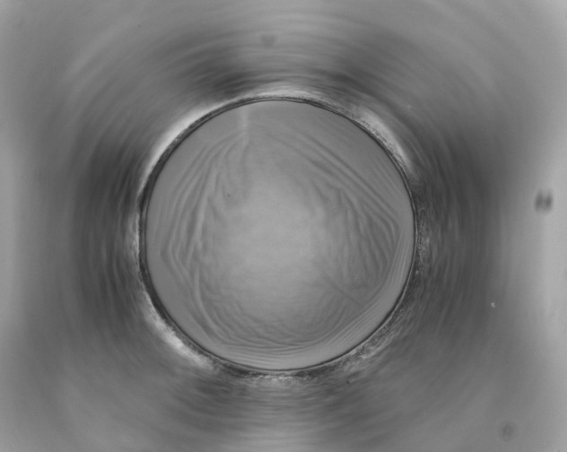 X0000091481092200709061834