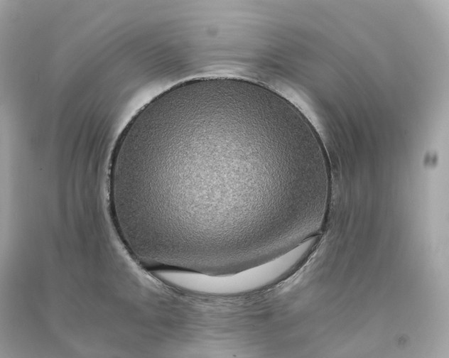 X0000091481093200709061834