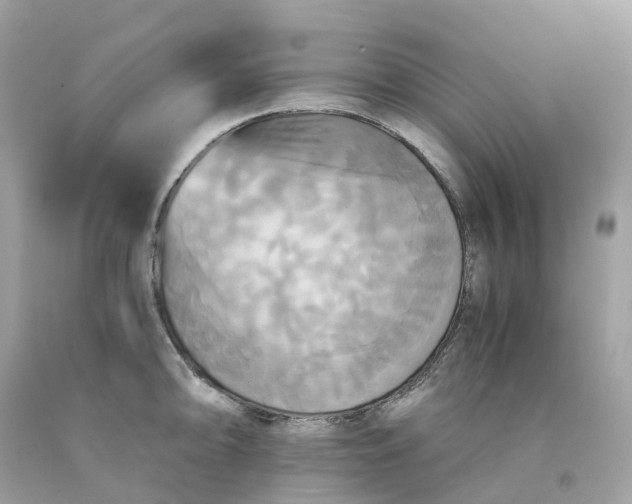 X0000091481094200709061834