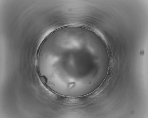 X0000091481095200709061834