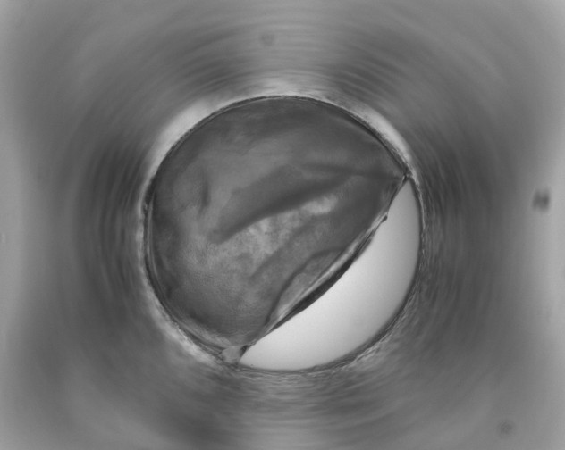 X0000091481096200709061834