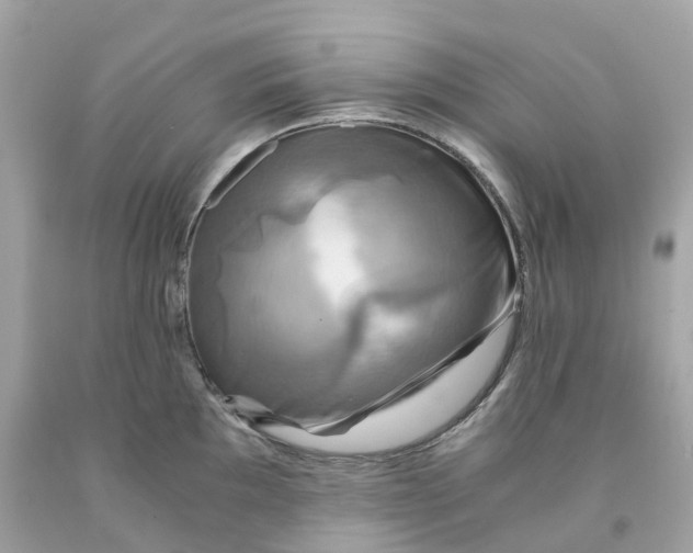 X0000091481097200709061834