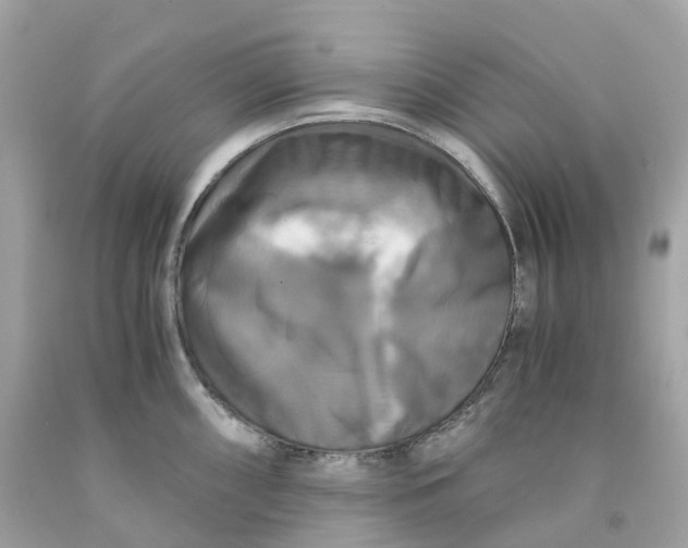 X0000091481098200709061834