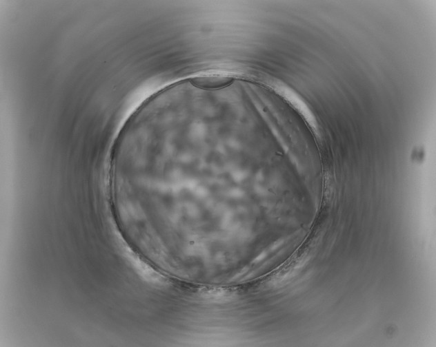 X0000091481099200709061834