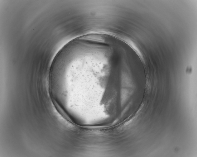 X0000091481100200709061834