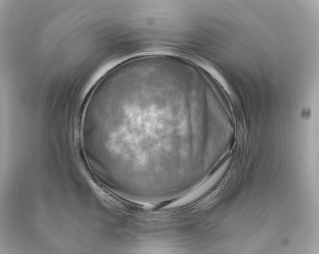 X0000091481101200709061834