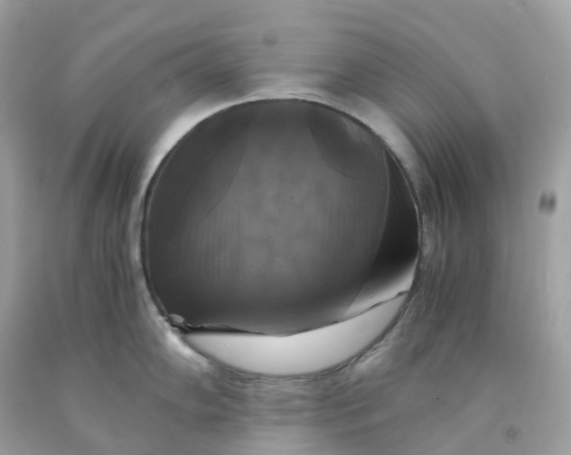 X0000091481102200709061834