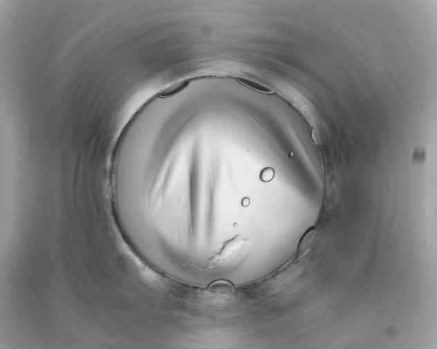 X0000091481103200709061834