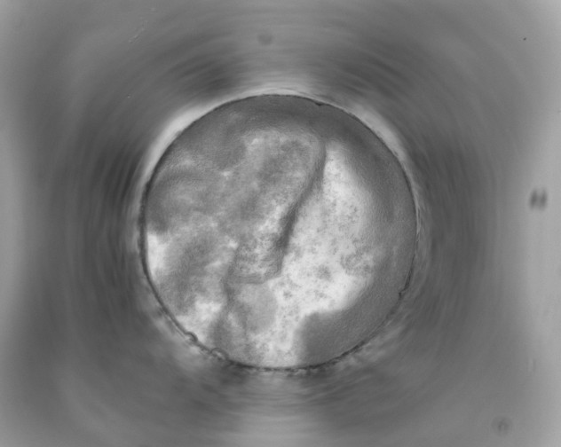 X0000091481104200709061834