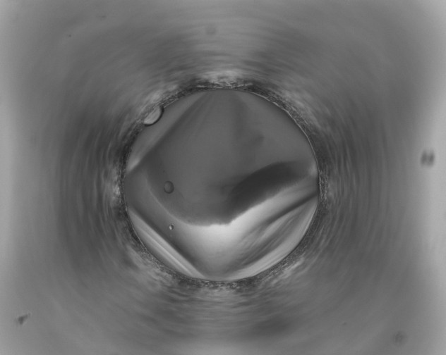 X0000091481106200709061833