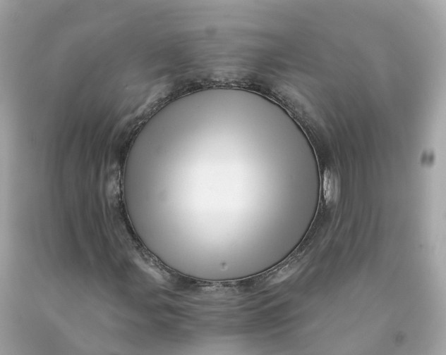 X0000091481107200709061833