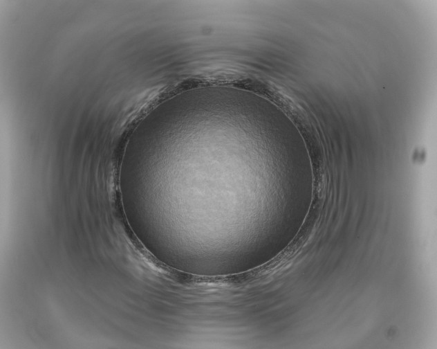 X0000091481108200709061833