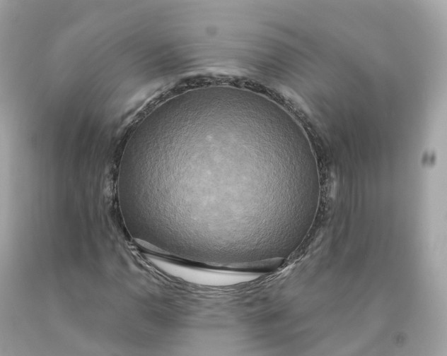 X0000091481110200709061833