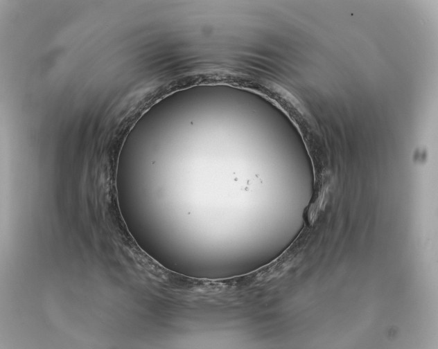 X0000091481111200709061833