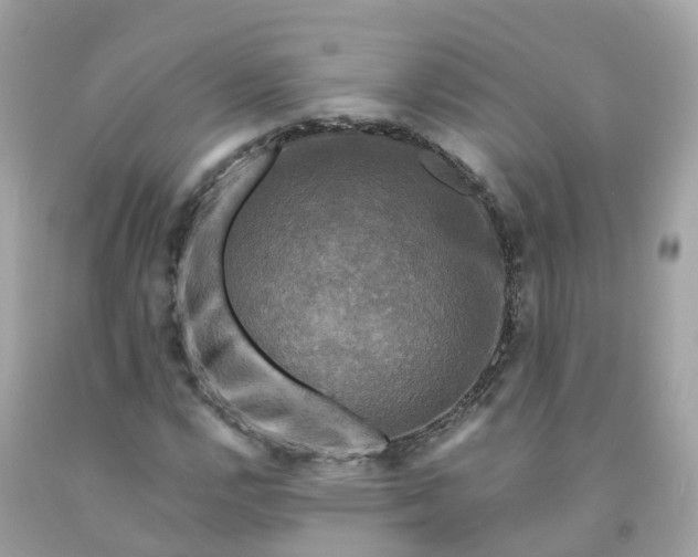 X0000091481112200709061833