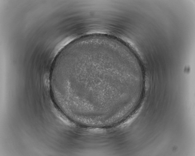 X0000091481113200709061833