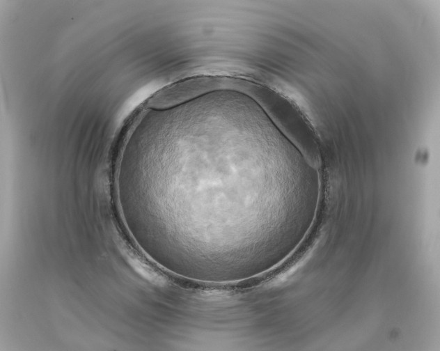 X0000091481114200709061833