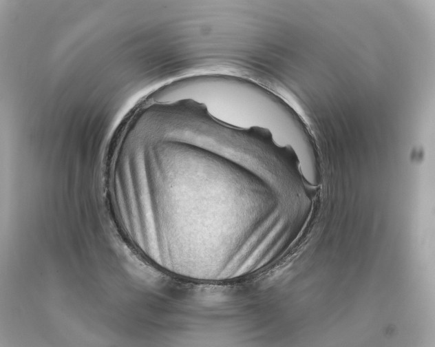 X0000091481116200709061833