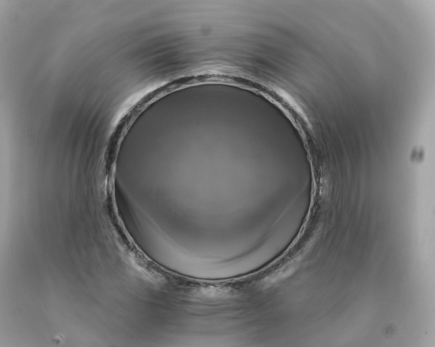 X0000091481117200709061833