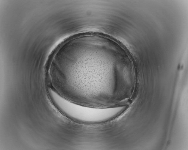 X0000091481118200709061833