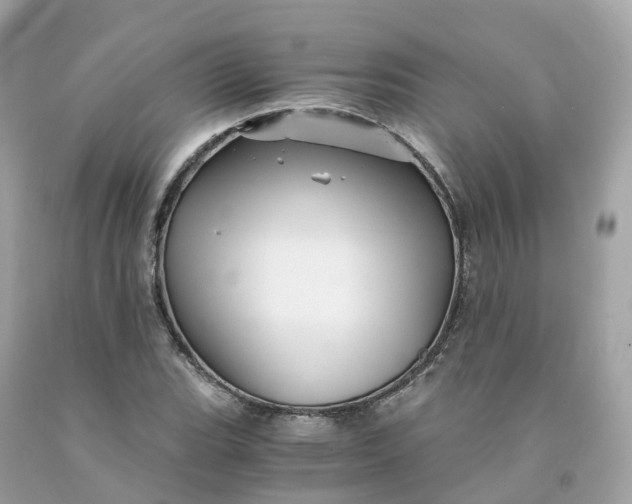 X0000091481119200709061833