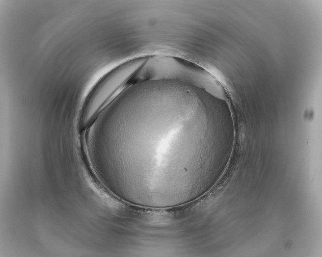 X0000091481120200709061833