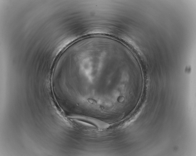 X0000091481121200709061833