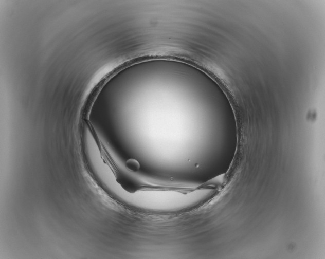 X0000091481122200709061833