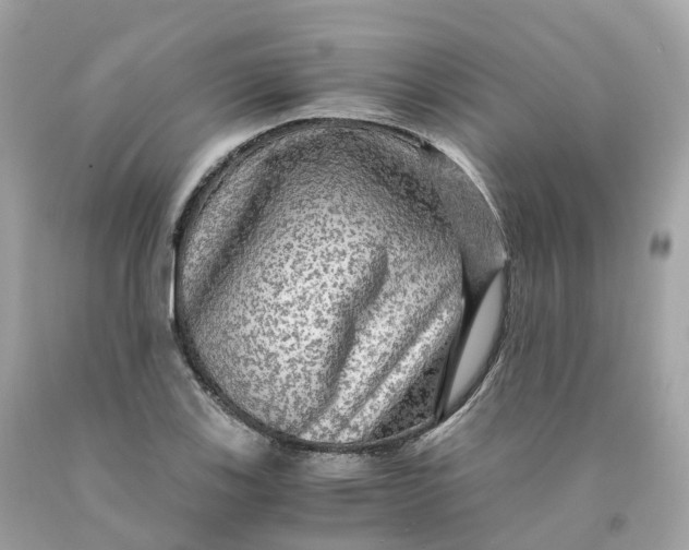 X0000091481123200709061833