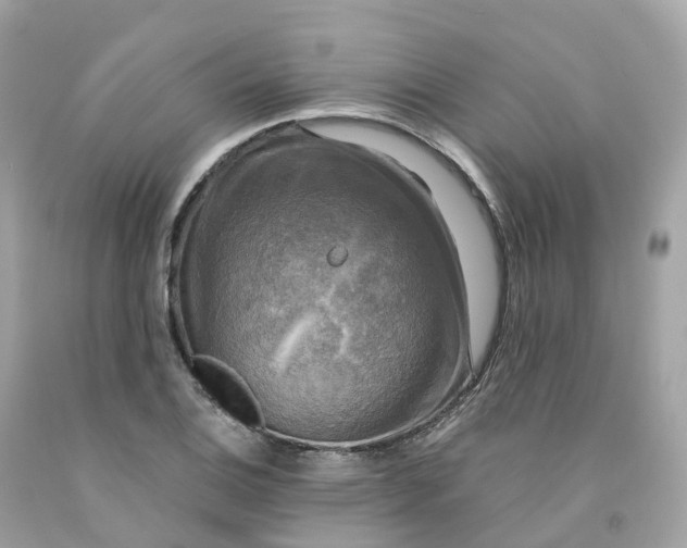 X0000091481124200709061833