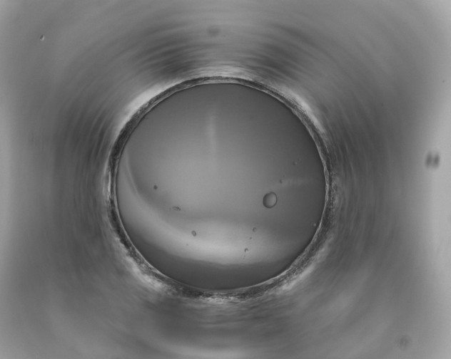 X0000091481125200709061833