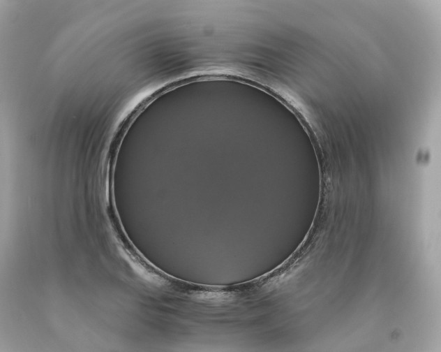 X0000091481127200709061833