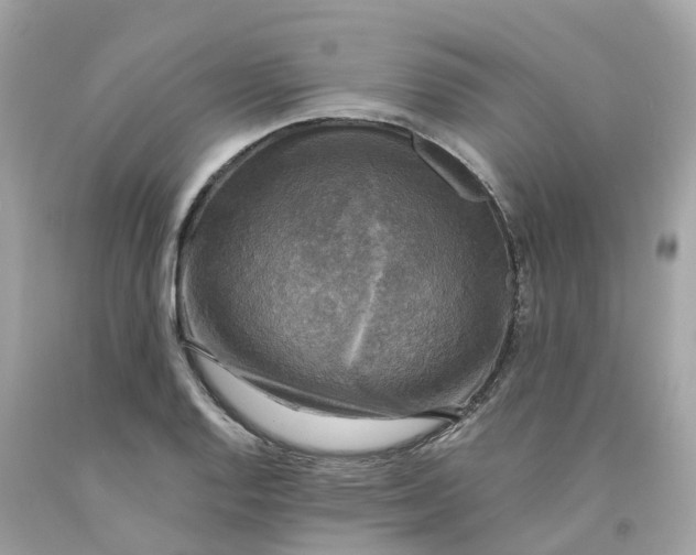 X0000091481128200709061833