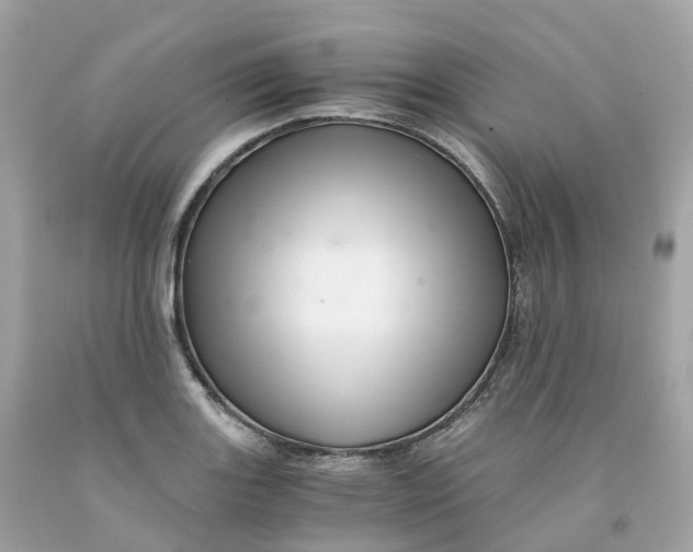 X0000091481131200709061833