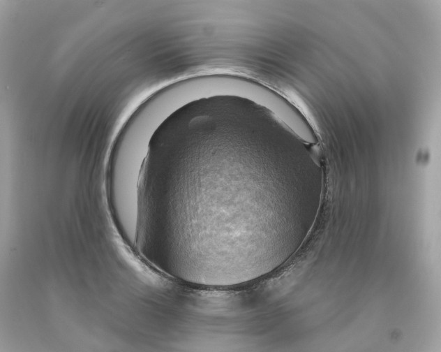 X0000091481132200709061833