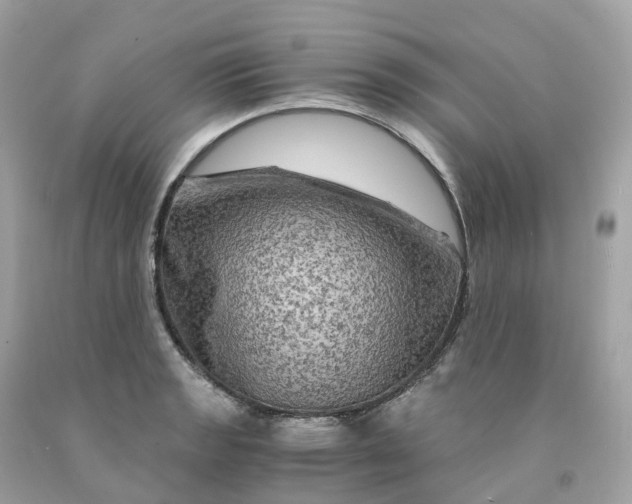 X0000091481133200709061833