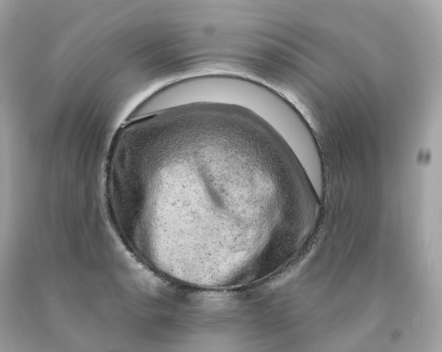 X0000091481134200709061833