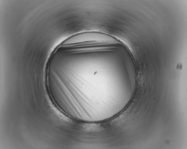 X0000091481135200709061833