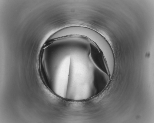 X0000091481136200709061833