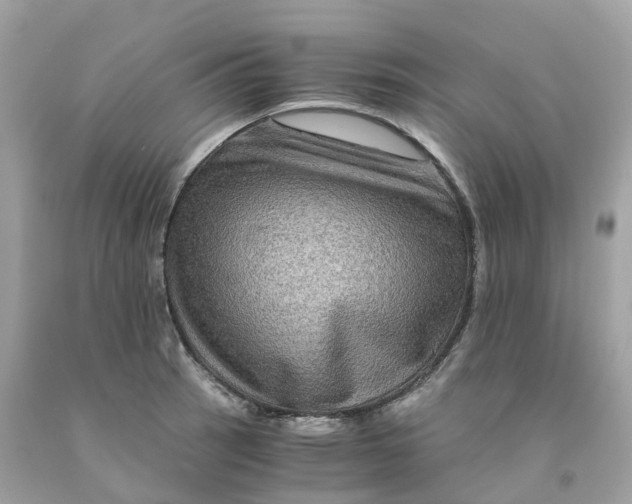 X0000091481137200709061833