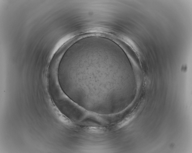 X0000091481138200709061833