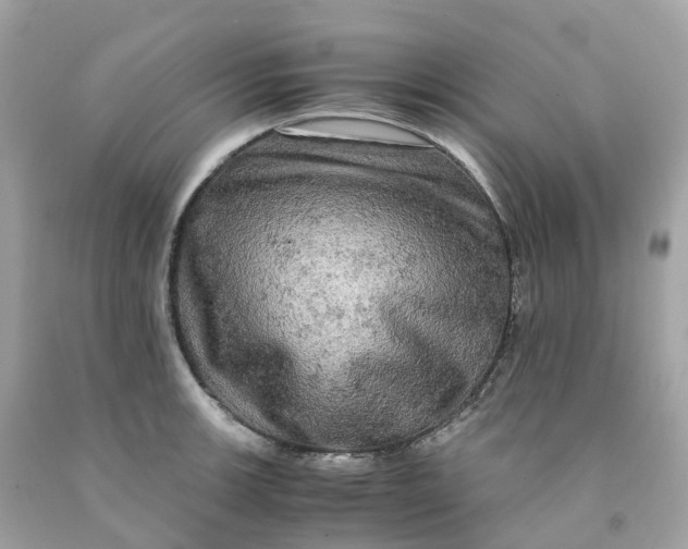 X0000091481139200709061833