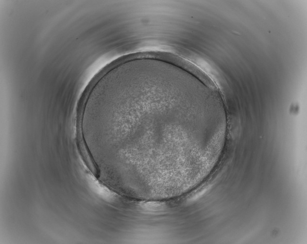 X0000091481140200709061833