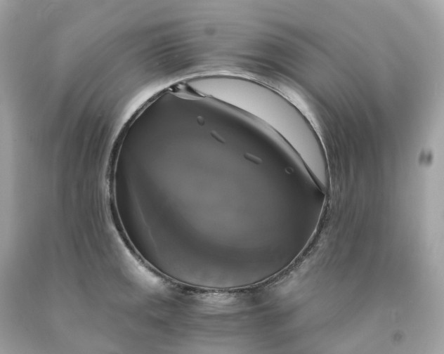 X0000091481141200709061833