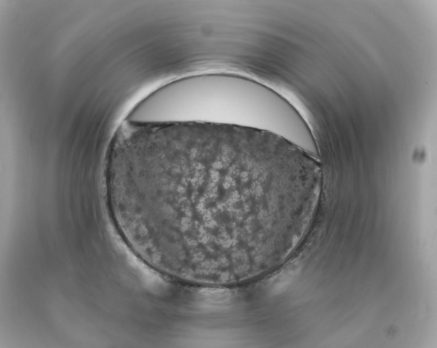 X0000091481142200709061833