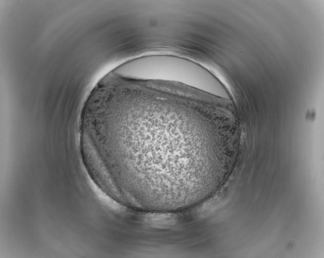 X0000091481143200709061833