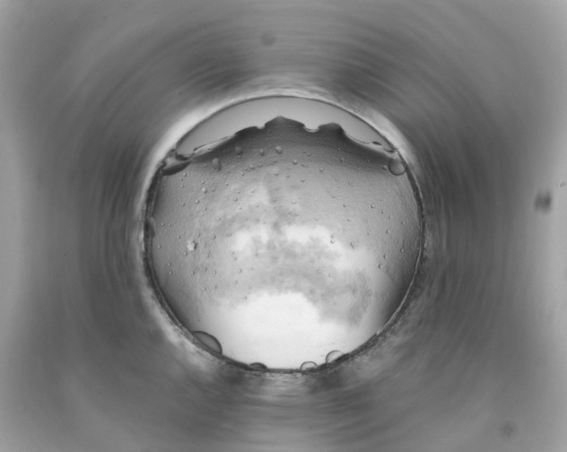 X0000091481144200709061833