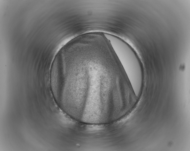 X0000091481145200709061833