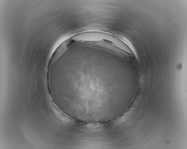 X0000091481146200709061834