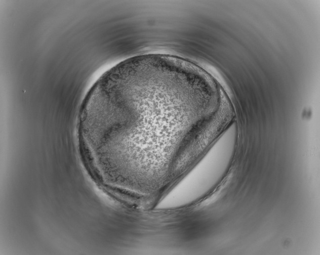 X0000091481149200709061834